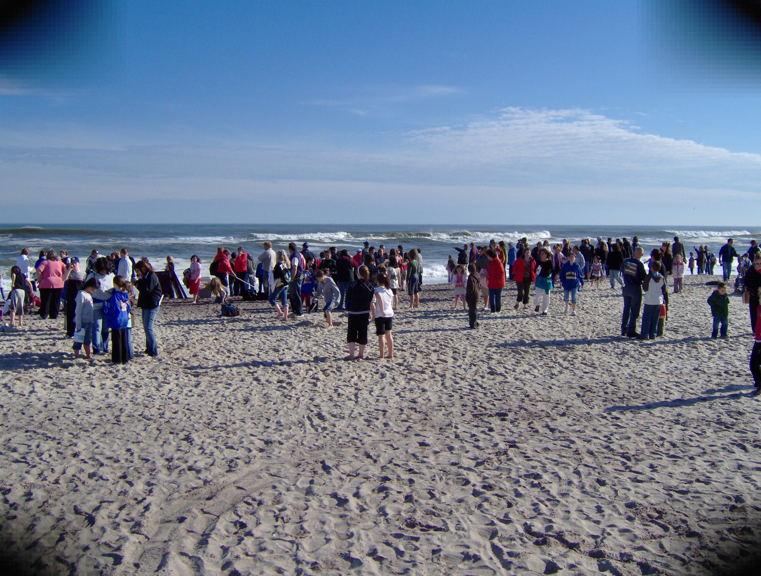 This was the crowd that stayed after the seals swam away