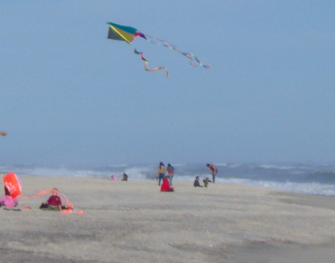 Kites at Robert Moses Beach (c) Ian Wilder