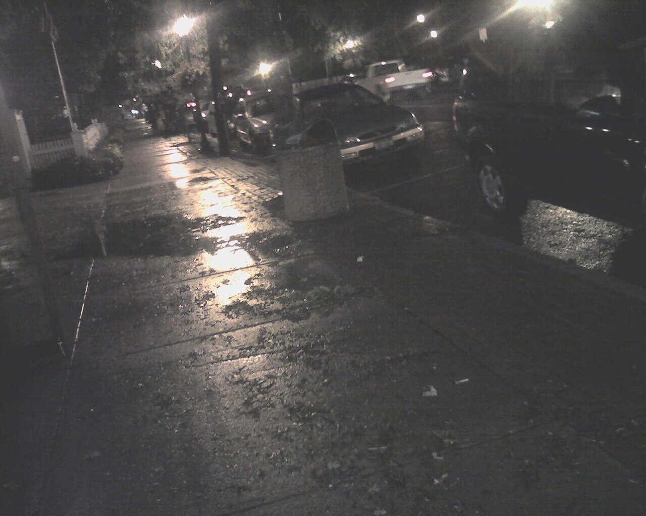 Leaves on sidewalk after the storm, August 2008