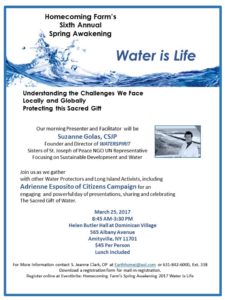 Water is Life flyer